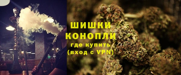 молекула духа Гусиноозёрск