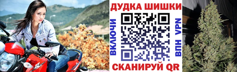 Марихуана сатива  Купить  Узловая 